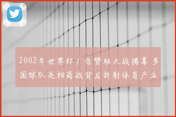 2002年世界杯广告赞助大战揭幕 多国球队亮相商战背后折射体育产业竞争