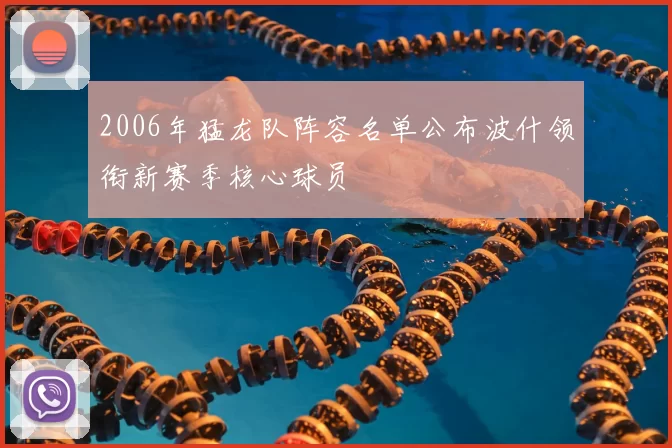 2006年猛龙队阵容名单公布波什领衔新赛季核心球员
