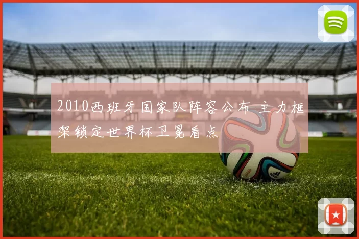 2010西班牙国家队阵容公布 主力框架锁定世界杯卫冕看点